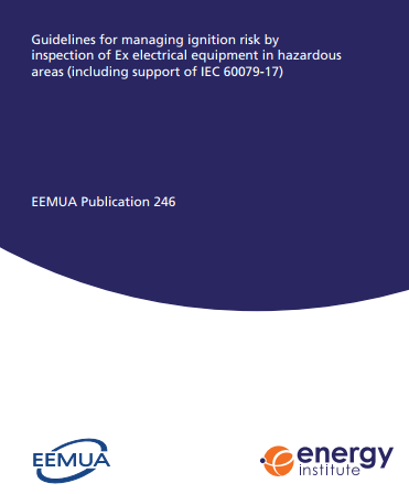 rbi-part2-energy-institute-guidelines